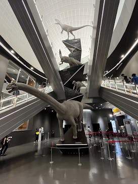 福井県立恐竜博物館に投稿された画像（2025/9/7）