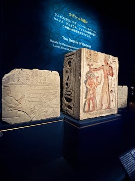 ACN ラムセス大王展 ファラオたちの黄金に投稿された画像（2025/9/7）