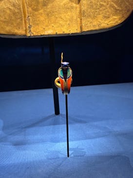 ACN ラムセス大王展 ファラオたちの黄金に投稿された画像（2025/9/7）