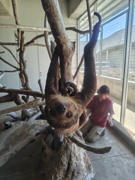 霞ケ浦 どうぶつとみんなのいえに投稿された画像（2025/9/7）