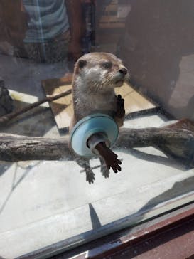 横浜・八景島シーパラダイスに投稿された画像（2025/9/7）