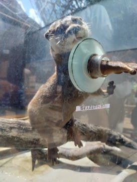 横浜・八景島シーパラダイスに投稿された画像（2025/9/7）