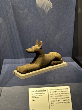 ブルックリン博物館所蔵　特別展　古代エジプト（豊田会場）に投稿された画像（2025/9/7）