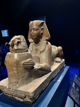 ACN ラムセス大王展 ファラオたちの黄金に投稿された画像（2025/9/7）