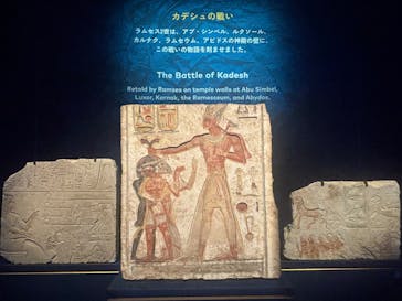 ACN ラムセス大王展 ファラオたちの黄金に投稿された画像（2025/9/7）