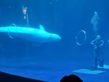 島根県立 しまね海洋館に投稿された画像（2025/9/7）