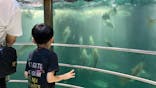 城崎マリンワールドに投稿された画像（2025/9/7）