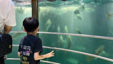 城崎マリンワールドに投稿された画像（2025/9/7）