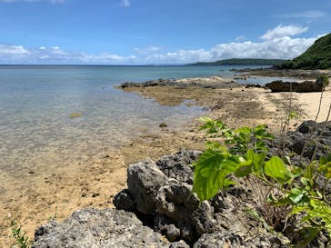 マリンショップアウルに投稿された画像（2025/9/7）