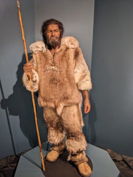 特別展「氷河期展 〜人類が見た4万年前の世界〜」（国立科学博物館）に投稿された画像（2025/9/7）