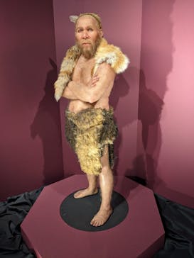 特別展「氷河期展 〜人類が見た4万年前の世界〜」（国立科学博物館）に投稿された画像（2025/9/7）