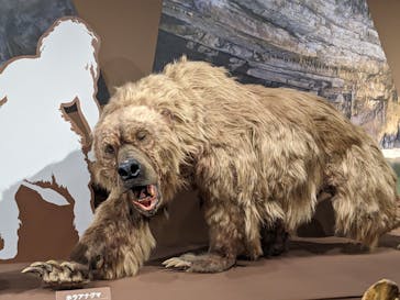 特別展「氷河期展 〜人類が見た4万年前の世界〜」（国立科学博物館）に投稿された画像（2025/9/7）