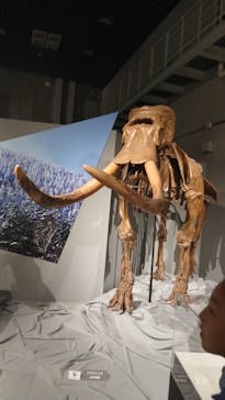 特別展「氷河期展 〜人類が見た4万年前の世界〜」（国立科学博物館）に投稿された画像（2025/9/7）