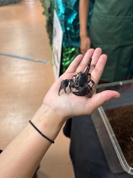 いきもの探検隊上尾に投稿された画像（2025/9/7）