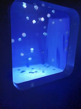 新江ノ島水族館に投稿された画像（2025/9/7）