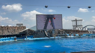 名古屋港水族館に投稿された画像（2025/9/7）