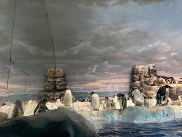 名古屋港水族館に投稿された画像（2025/9/7）