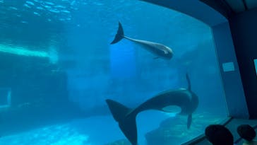 名古屋港水族館に投稿された画像（2025/9/7）
