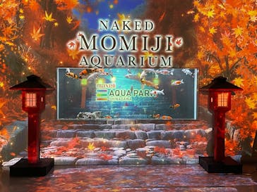 マクセル アクアパーク品川に投稿された画像（2025/9/7）