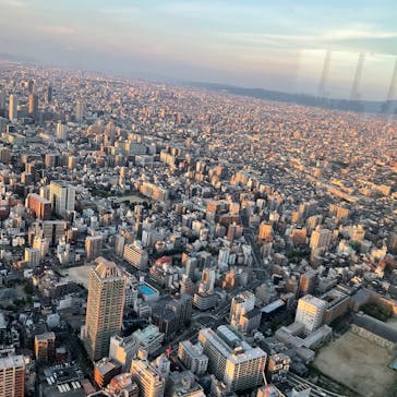 ハルカス300(展望台)に投稿された画像（2025/9/7）