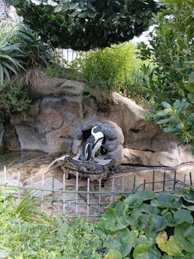 サンシャイン水族館に投稿された画像（2025/9/7）