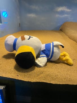 マリンワールド海の中道に投稿された画像（2025/9/7）