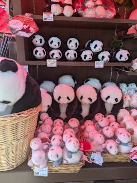 恩賜上野動物園に投稿された画像（2025/9/7）