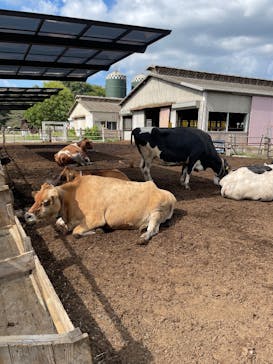 成田ゆめ牧場に投稿された画像（2025/9/7）