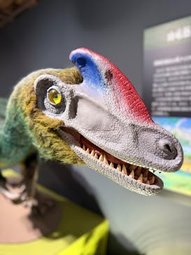 大恐竜展に投稿された画像（2025/9/7）