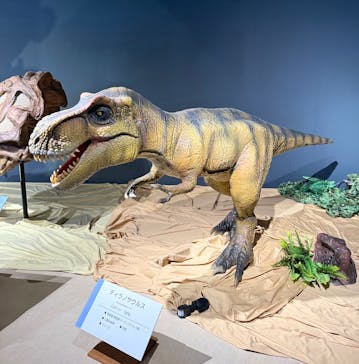 大恐竜展に投稿された画像（2025/9/7）
