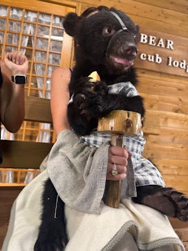 奥飛騨クマ牧場に投稿された画像（2025/9/8）