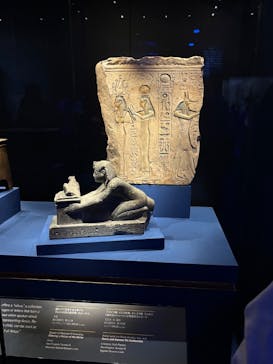 ACN ラムセス大王展 ファラオたちの黄金に投稿された画像（2025/9/8）