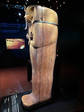 ACN ラムセス大王展 ファラオたちの黄金に投稿された画像（2025/9/8）