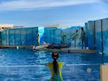 新江ノ島水族館に投稿された画像（2025/9/8）