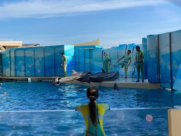 新江ノ島水族館に投稿された画像（2025/9/8）