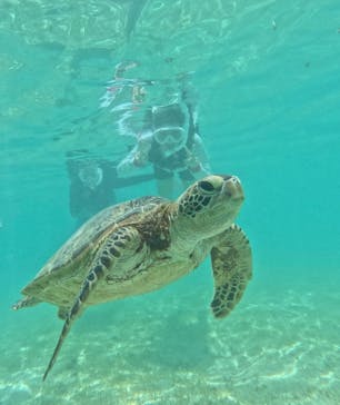 OCEAN LIFE 宮古島に投稿された画像（2025/9/8）