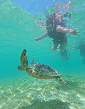 OCEAN LIFE 宮古島に投稿された画像（2025/9/8）