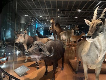 国立科学博物館に投稿された画像（2025/9/8）