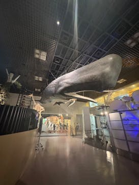 国立科学博物館に投稿された画像（2025/9/8）