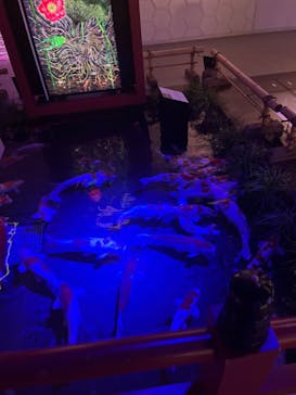 AQUARIUM × ART　atoa×felissimo chocolate museum（フェリシモ チョコレート ミュージアム）に投稿された画像（2025/9/8）