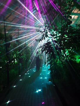 京都府立植物園　LIGHT CYCLES KYOTOに投稿された画像（2025/9/8）