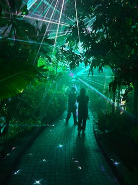 京都府立植物園　LIGHT CYCLES KYOTOに投稿された画像（2025/9/8）