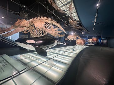 名古屋港水族館に投稿された画像（2025/9/8）