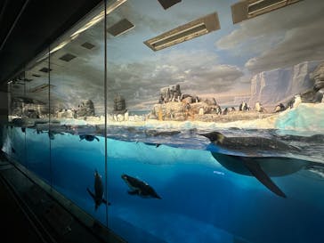 名古屋港水族館に投稿された画像（2025/9/8）