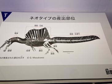 福井県立恐竜博物館に投稿された画像（2025/9/8）