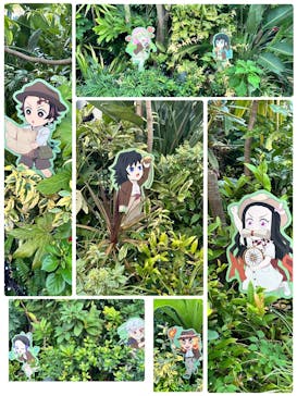 サンシャイン水族館に投稿された画像（2025/9/8）