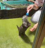 竹島水族館に投稿された画像（2025/9/8）