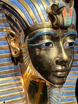 MYSTERY OF TUTANKHAMEN 体感型古代エジプト展に投稿された画像（2025/9/8）