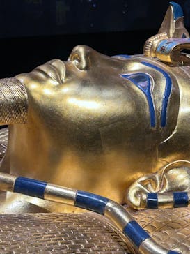 MYSTERY OF TUTANKHAMEN 体感型古代エジプト展に投稿された画像（2025/9/8）