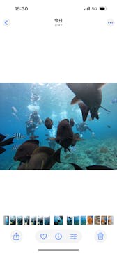 武藤潜水に投稿された画像（2025/9/8）